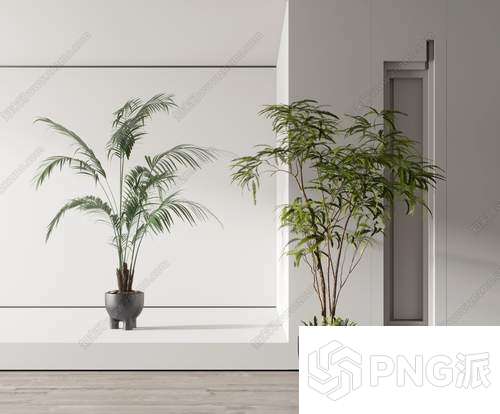 极简绿植盆景3D模型 - PNG派