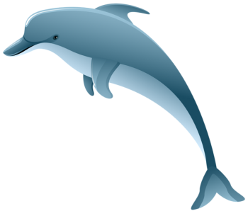 海豚 - PNG派