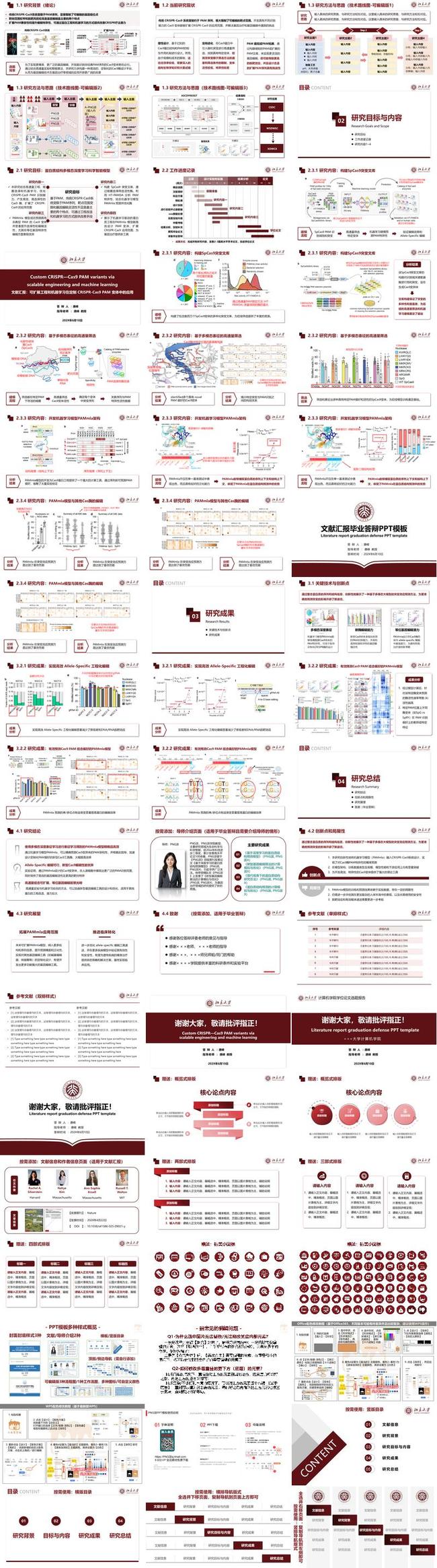 申报答辩PPT模板 - PNG派