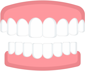 牙齿 - PNG派