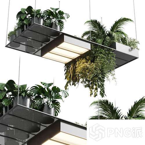 现代绿植盆景3D模型 - PNG派