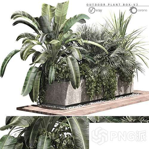 现代绿植盆景3D模型 - PNG派