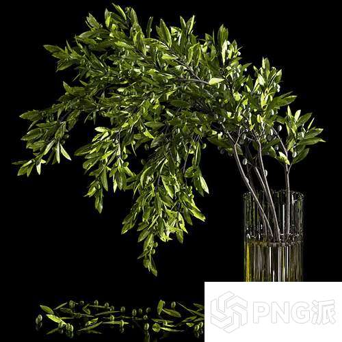 现代绿植盆景3D模型 - PNG派