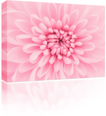 菊花图案的盒子 - PNG派