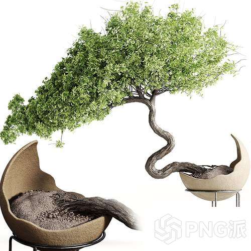 时尚绿植盆景3D模型 - PNG派