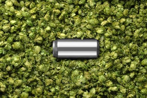 啤酒瓶易拉罐包装PS样机模板 - PNG派