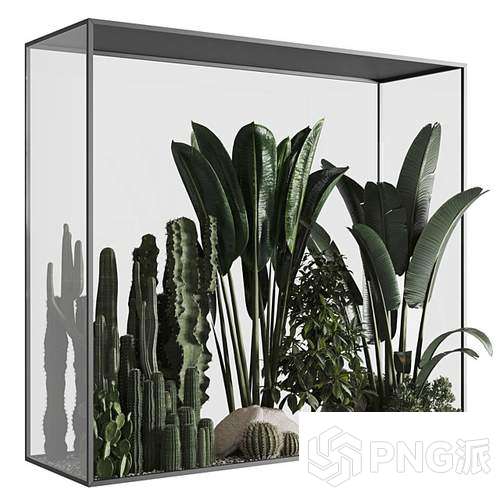 现代绿植盆景3D模型 - PNG派