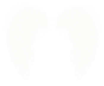 白色的翅膀 - PNG派