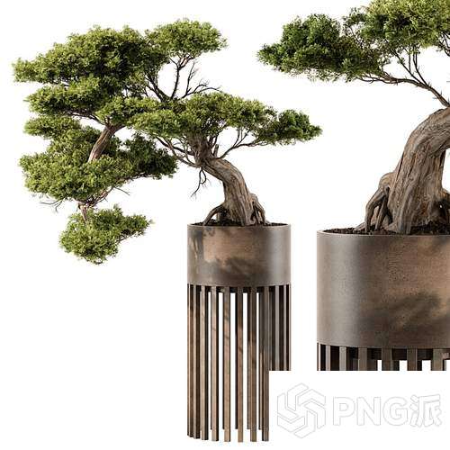现代绿植盆景3D模型 - PNG派