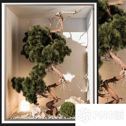 时尚绿植盆景3D模型 - PNG派
