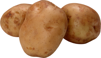 三个土豆 - PNG派