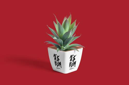 国潮餐饮品牌提案植物花盆VI全套效果展示PSD模板 - PNG派