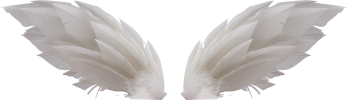 白色的翅膀 - PNG派