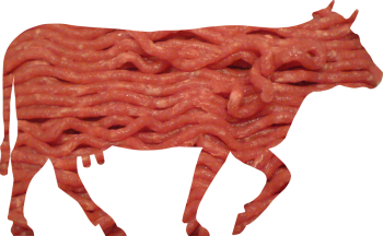 牛肉 - PNG派