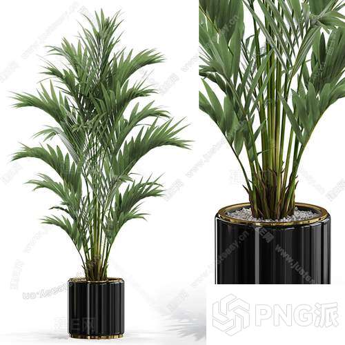 现代绿植盆景3D模型 - PNG派