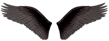 黑色邪恶的翅膀 - PNG派