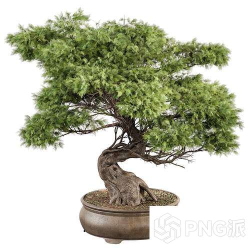 时尚绿植盆景3D模型 - PNG派