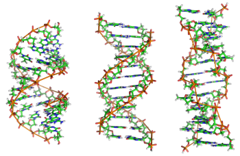 DNA - PNG派