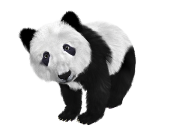 熊猫 - PNG派