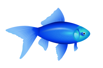 蓝色的鱼 - PNG派