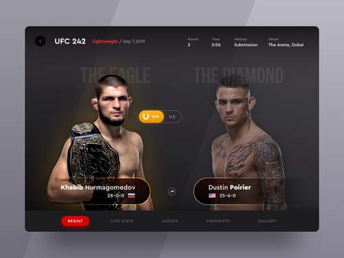 iPad应用程序上的UFC 242比赛结果UI素材 - PNG派
