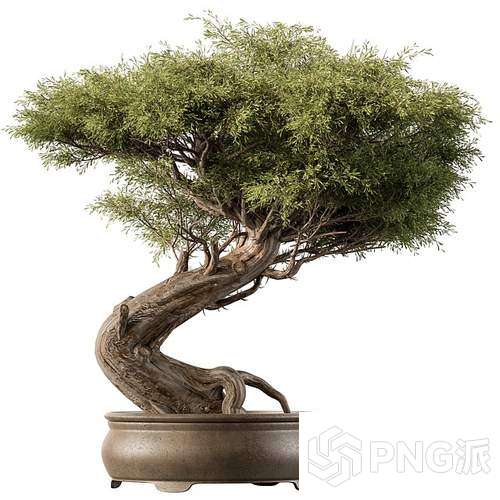 现代绿植盆景3D模型 - PNG派