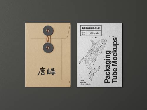 牛皮纸档案袋PS智能样机模板 - PNG派