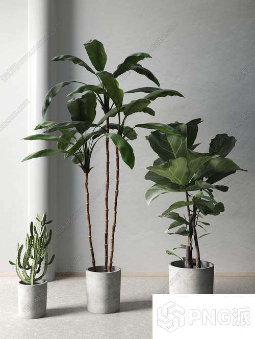 北欧绿植盆景3D模型 - PNG派