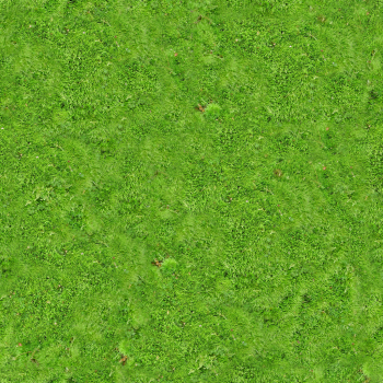 绿色地毯 - PNG派