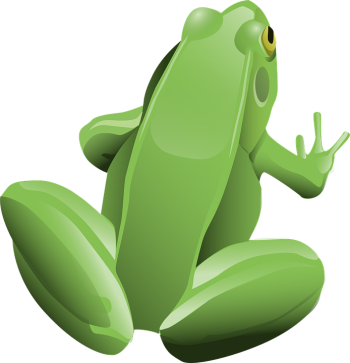 绿蛙 - PNG派
