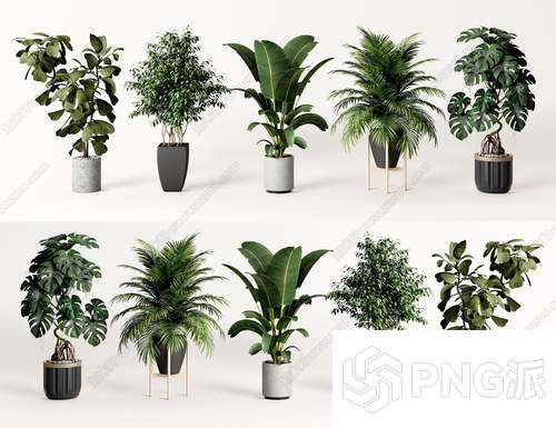 极简绿植盆景3D模型 - PNG派